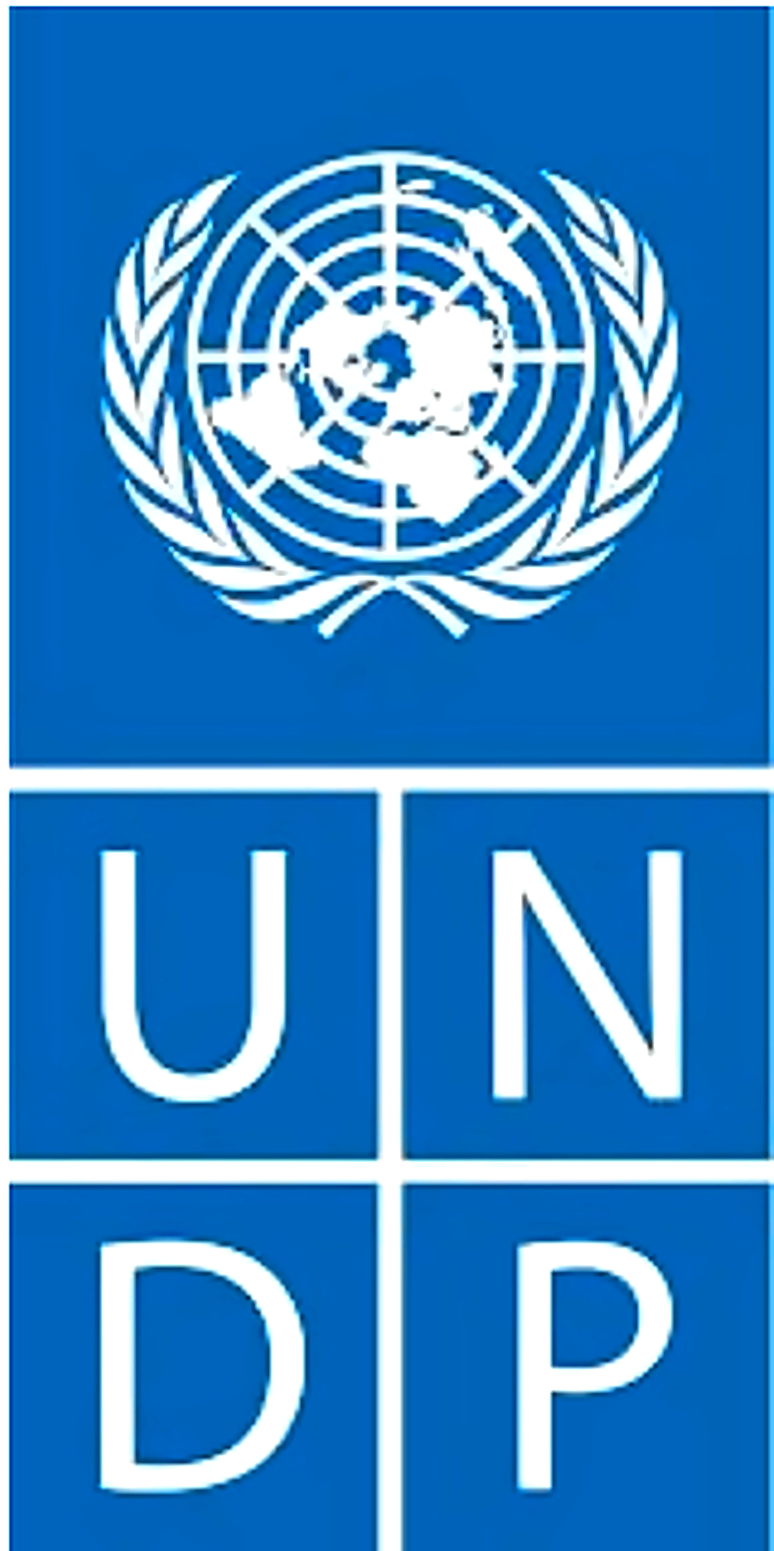 UNDP logo, listed as a client in the AanaxagorasR company profile